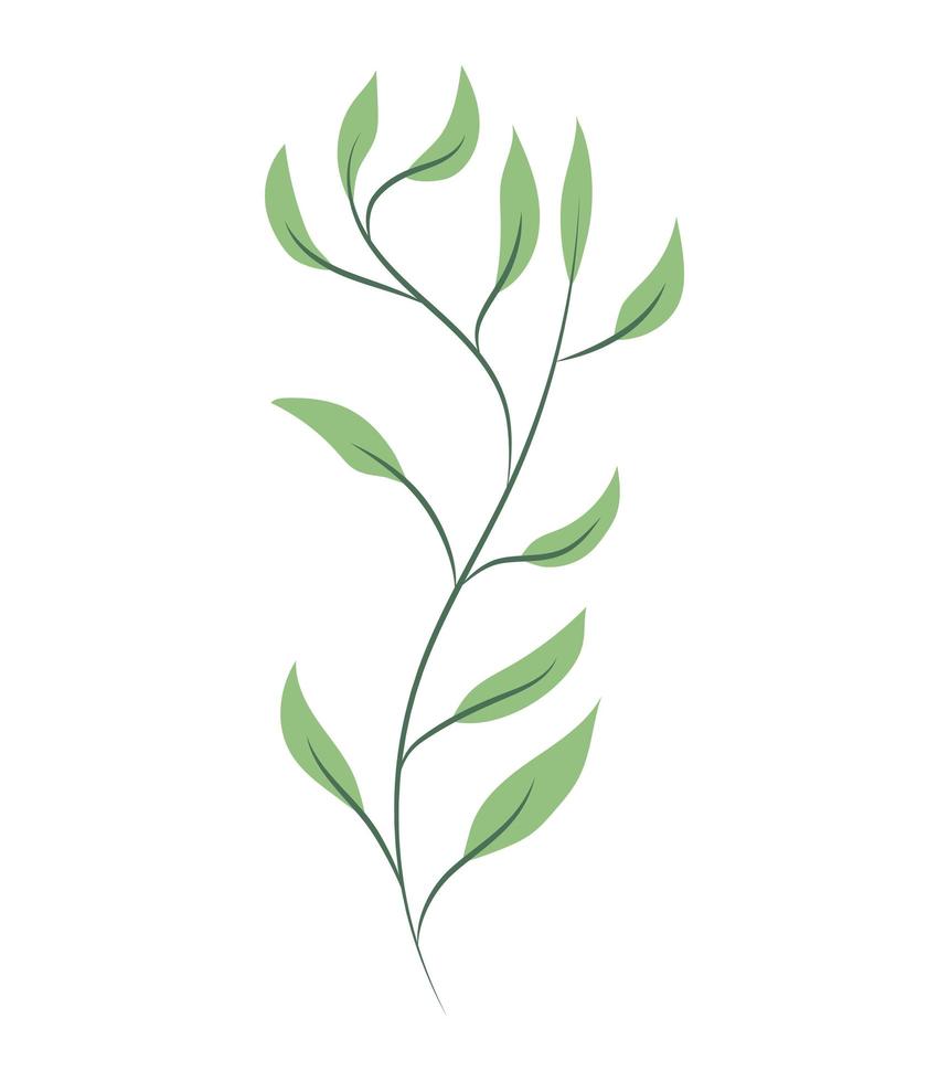 garden leaf illustration vector