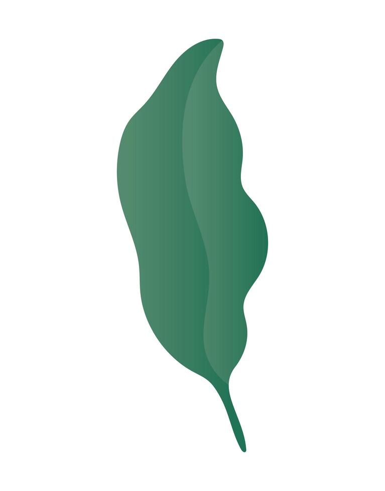 Isolated green leaf vector design