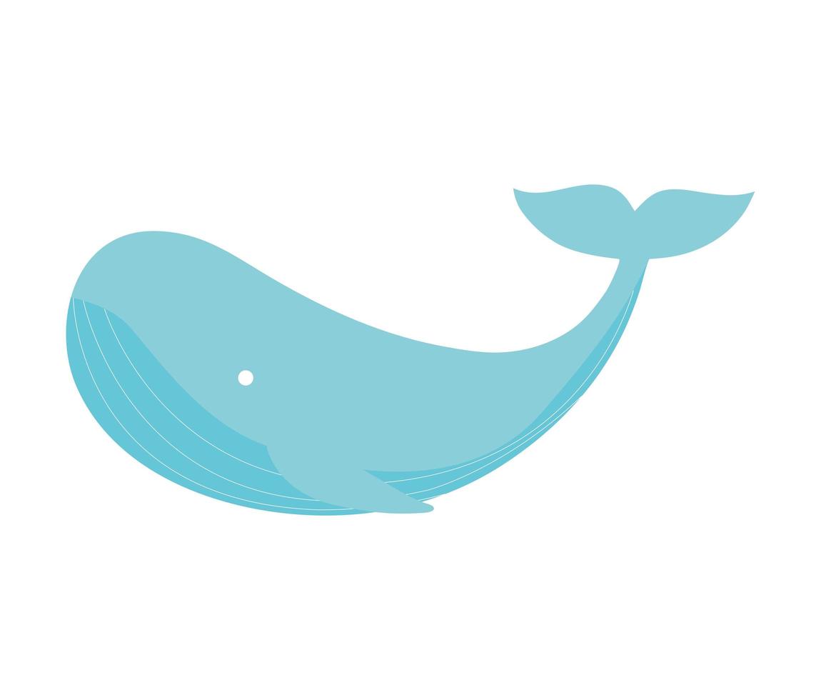 blue whale design vector