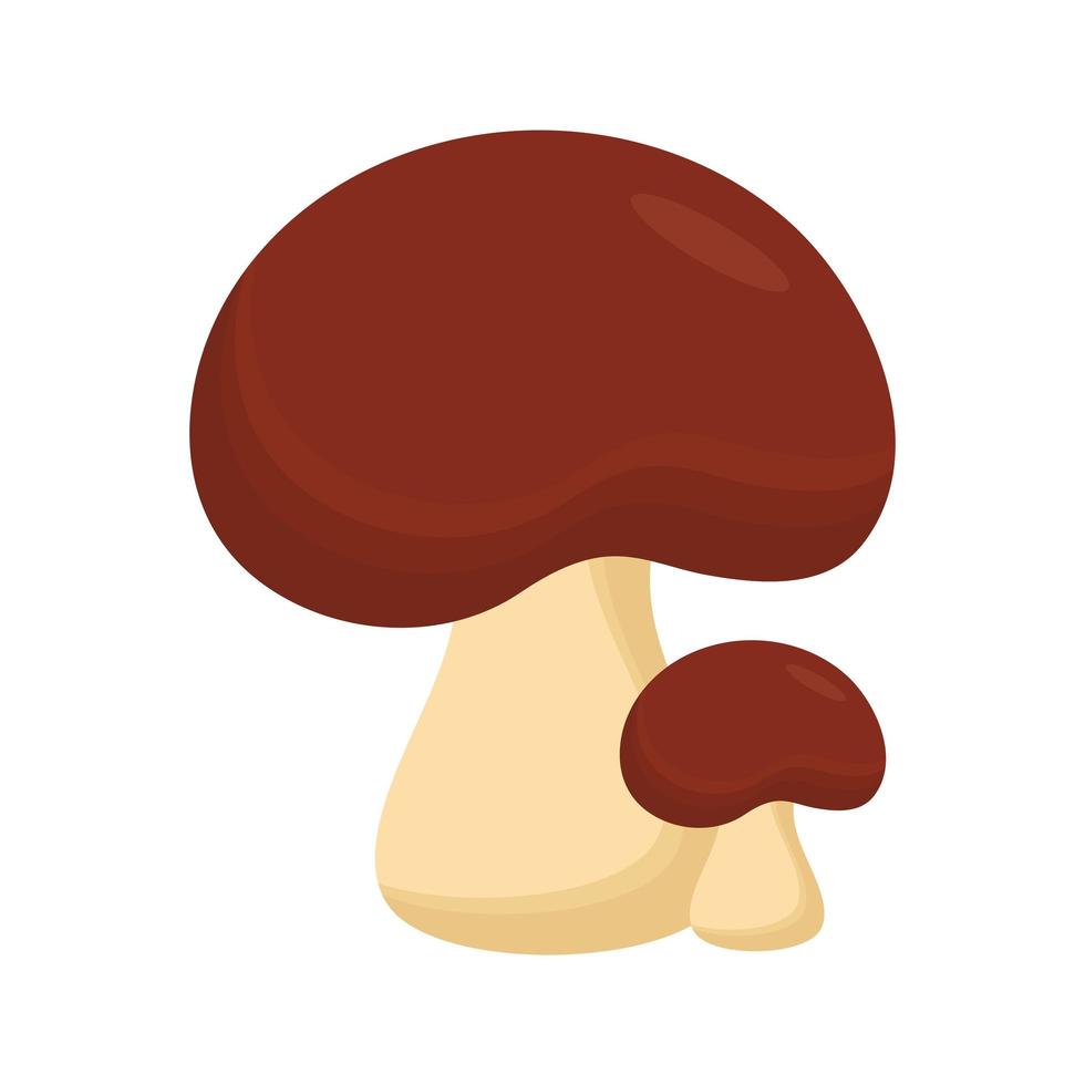 Isolated fungi mushroom icon vector design