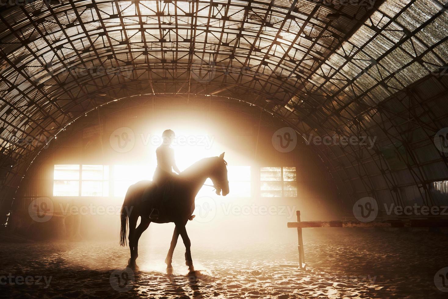 majestuosa imagen de caballo caballo silueta con jinete sobre fondo puesta de sol. la chica jockey a lomos de un semental cabalga en un hangar en una granja y salta por encima del travesaño. el concepto de montar a caballo foto