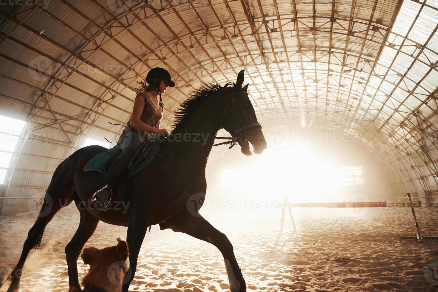 Majestic image of horse horse silhouette with rider on sunset background. The girl jockey on the back of a stallion rides in a hangar on a farm and jumps over the crossbar. The concept of riding photo