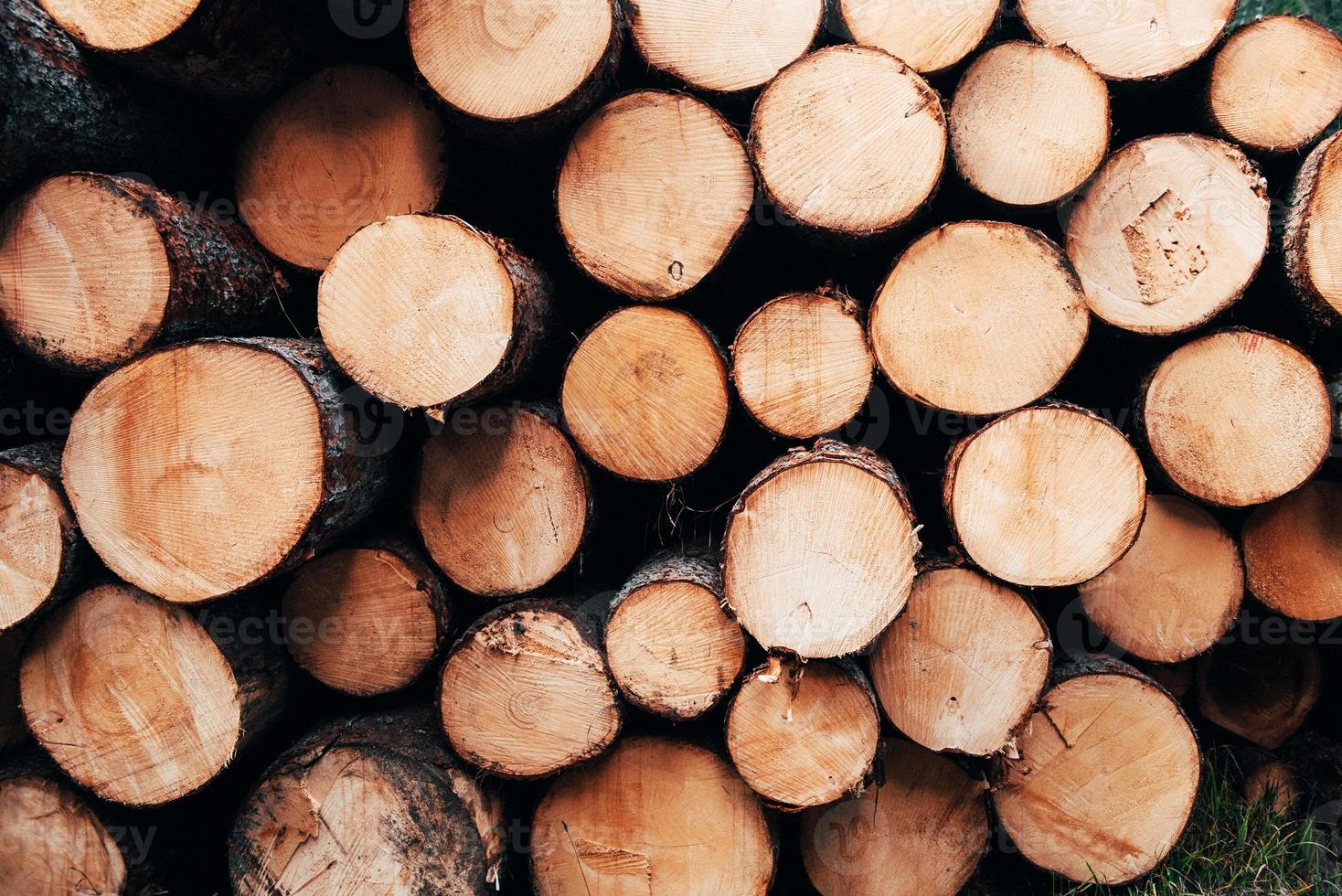 Stacked up on top of each other. Close up view of the front of many logs prepared for the winter. Nature background photo
