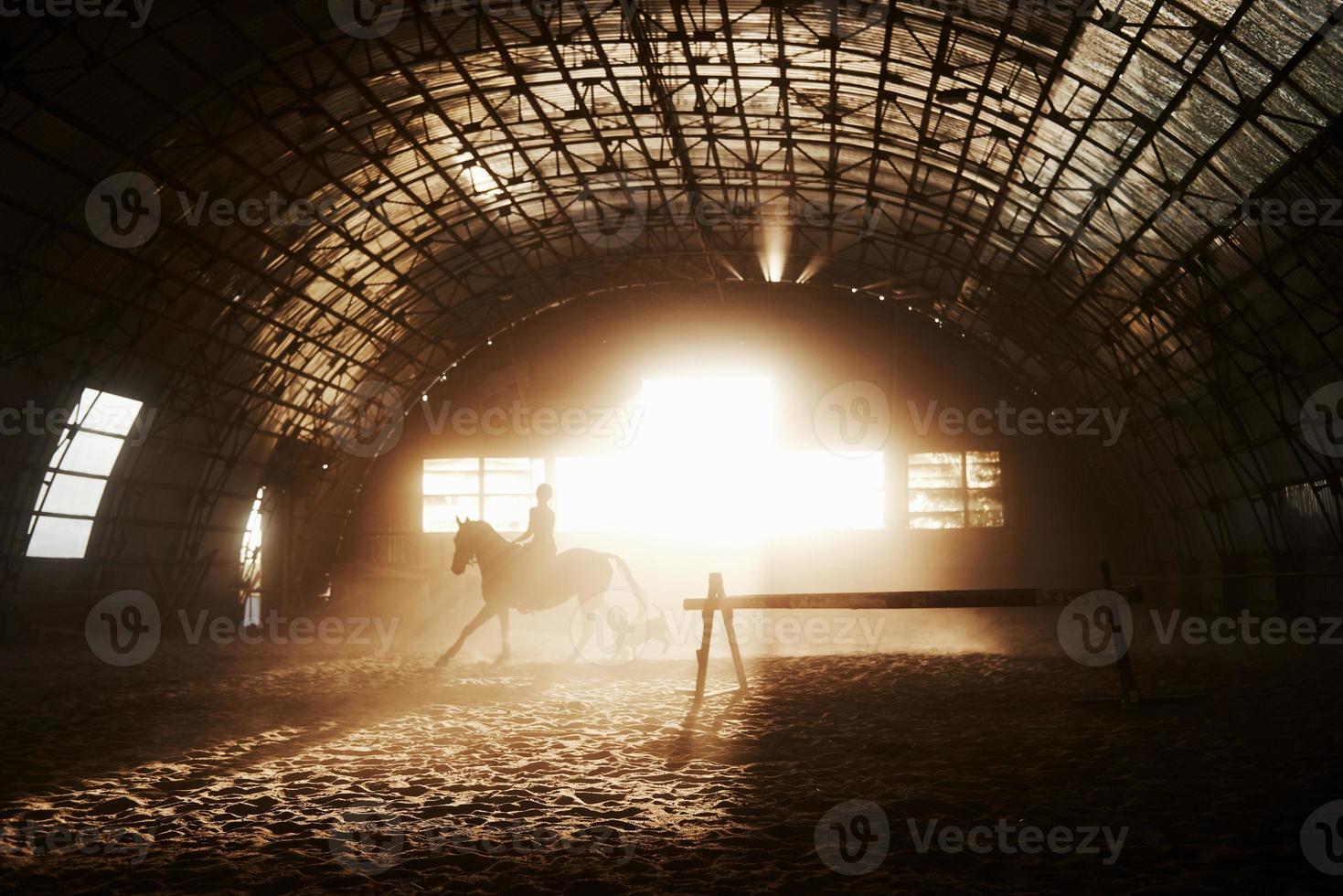 majestuosa imagen de caballo caballo silueta con jinete sobre fondo puesta de sol. la chica jockey a lomos de un semental cabalga en un hangar en una granja y salta por encima del travesaño. el concepto de montar a caballo foto