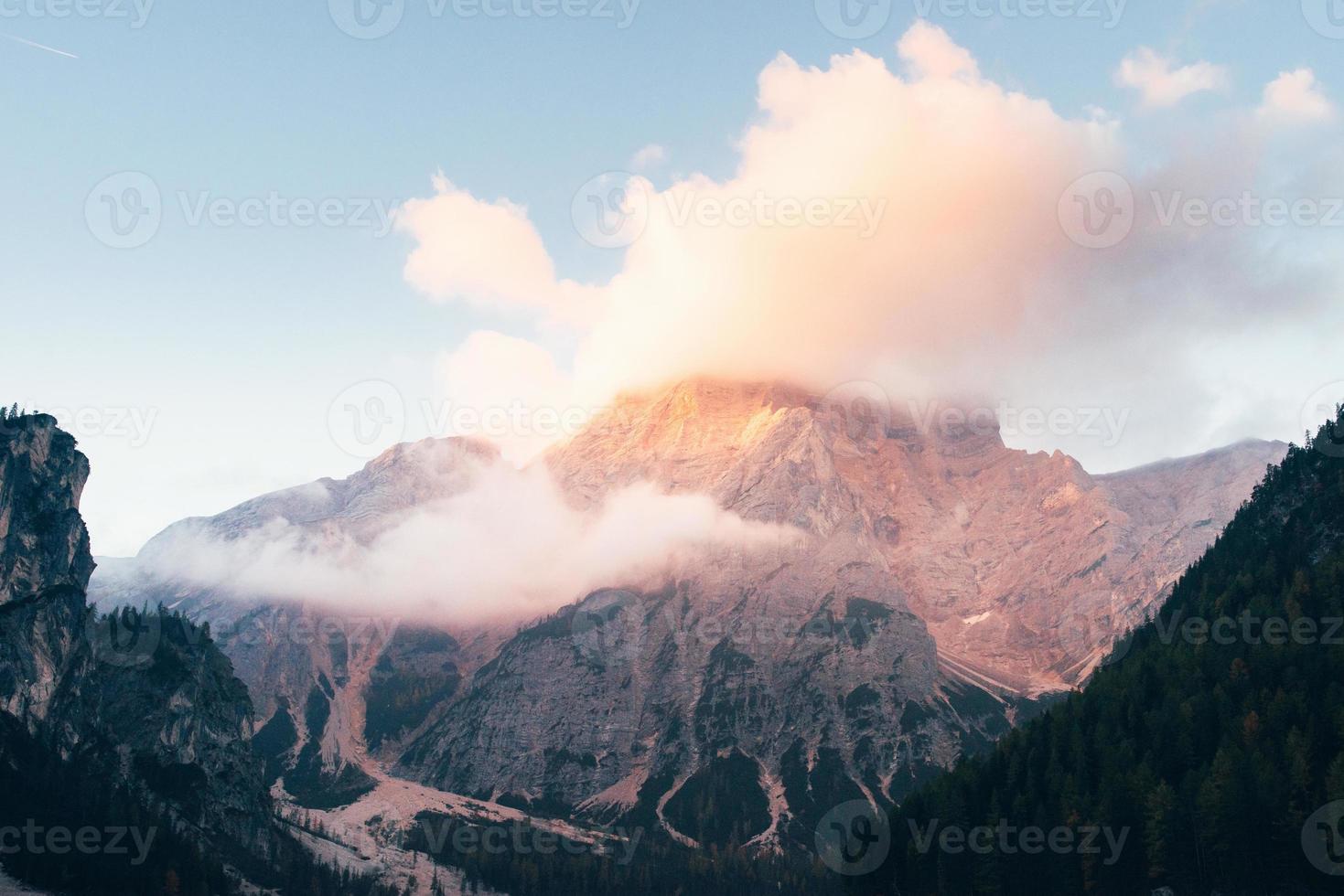 Forest on the front. Photo of mountains in the fog. Majestic landscape of high hills that almost in the sky