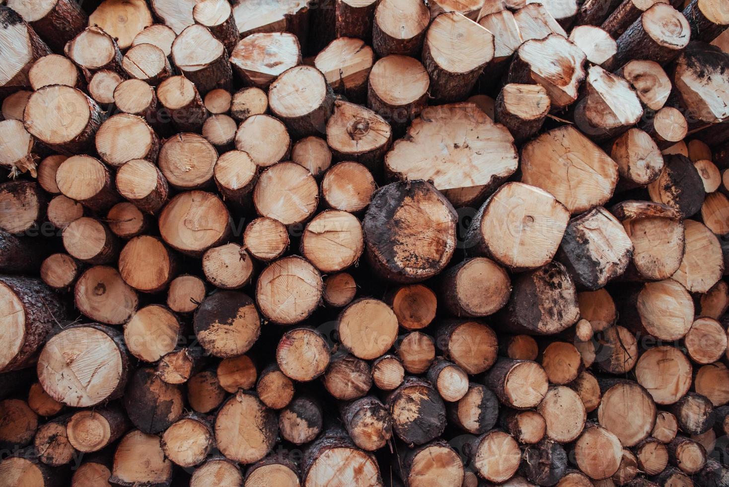Abstract picture. Close up view of the front of many logs prepared for the winter. Nature background photo