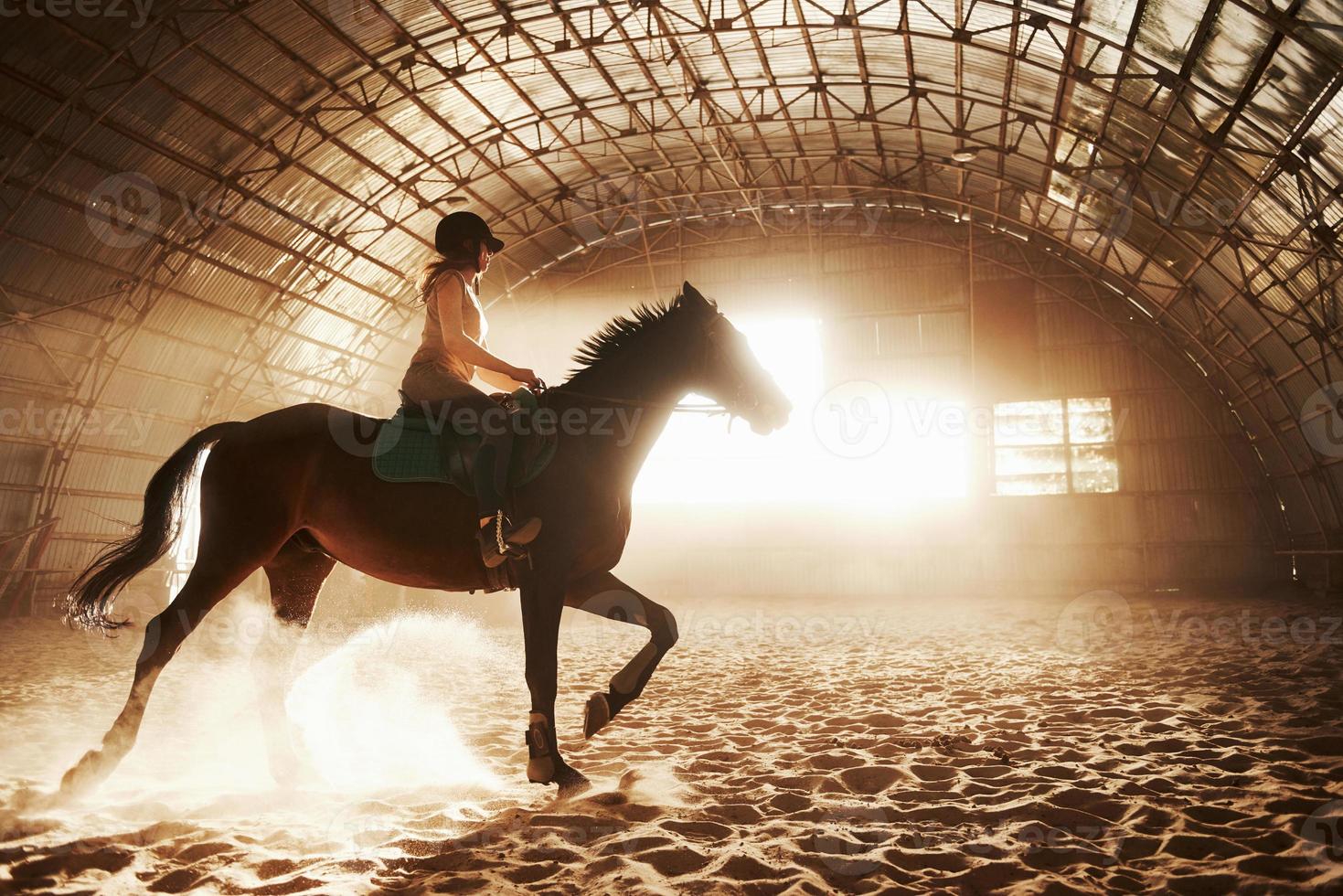 majestuosa imagen de caballo caballo silueta con jinete sobre fondo puesta de sol. la chica jockey a lomos de un semental cabalga en un hangar en una granja y salta por encima del travesaño. el concepto de montar a caballo foto