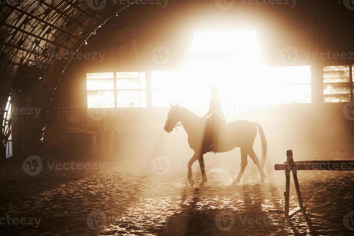 majestuosa imagen de caballo caballo silueta con jinete sobre fondo puesta de sol. la chica jockey a lomos de un semental cabalga en un hangar en una granja y salta por encima del travesaño. el concepto de montar a caballo foto