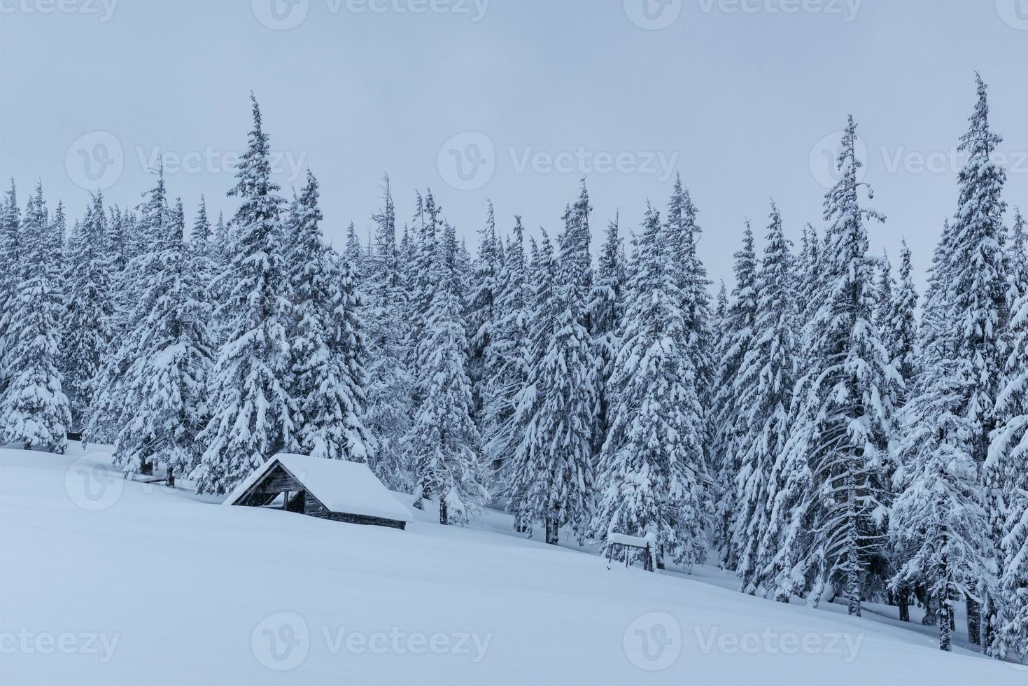 bosque nevado en los cárpatos. una pequeña y acogedora casa de madera cubierta de nieve. el concepto de paz y recreación invernal en las montañas. feliz Año Nuevo foto
