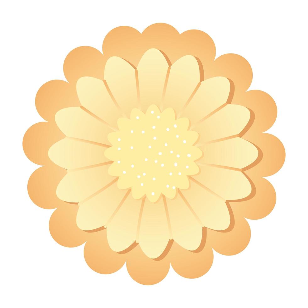yellow flower decorative vector