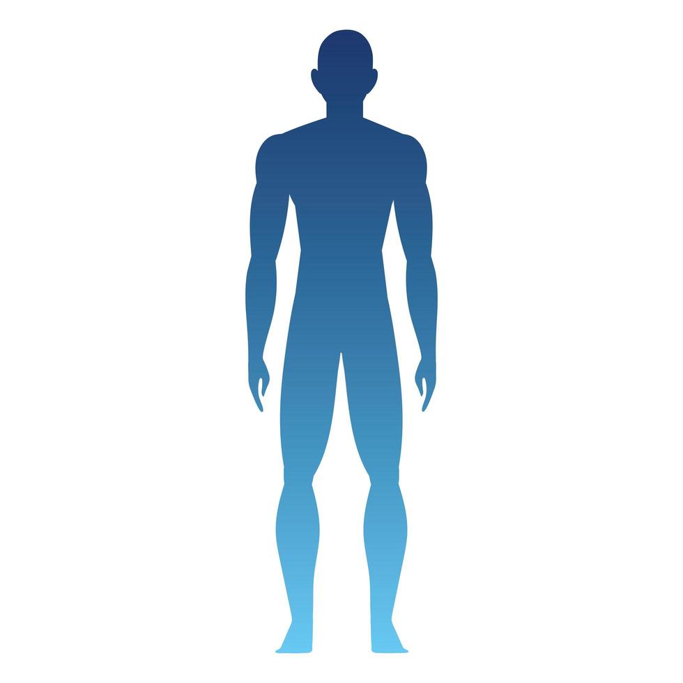 silueta de un cuerpo humano vector