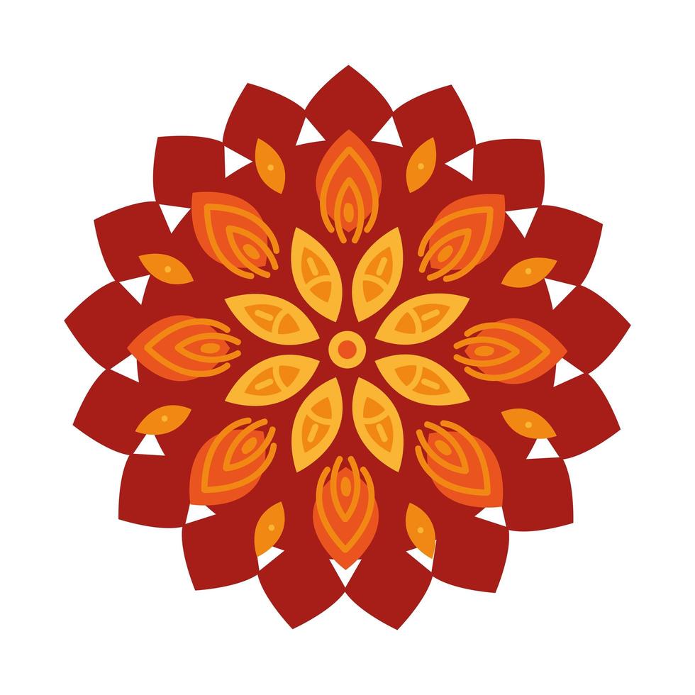 mandala flower ornate vector