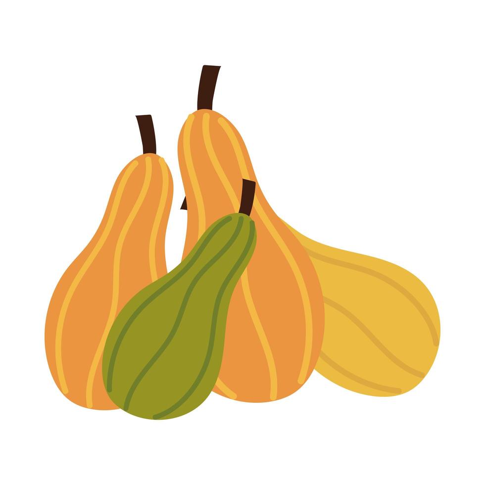 zucchini fresh vegetables vector