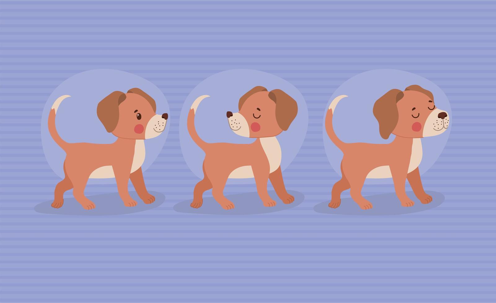 three pretty dogs vector