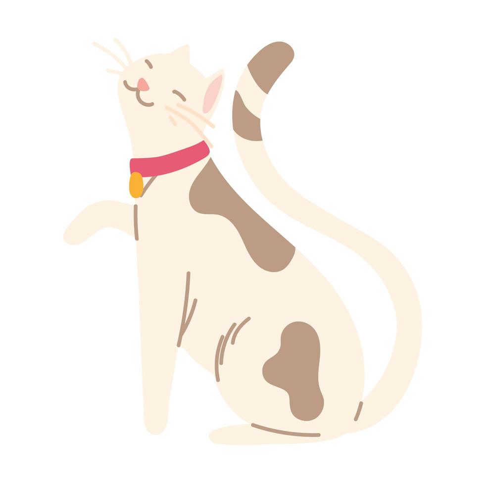 lindo gato con collar vector