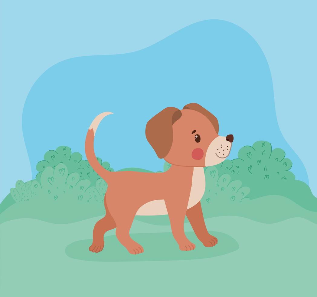 brown dog representation vector