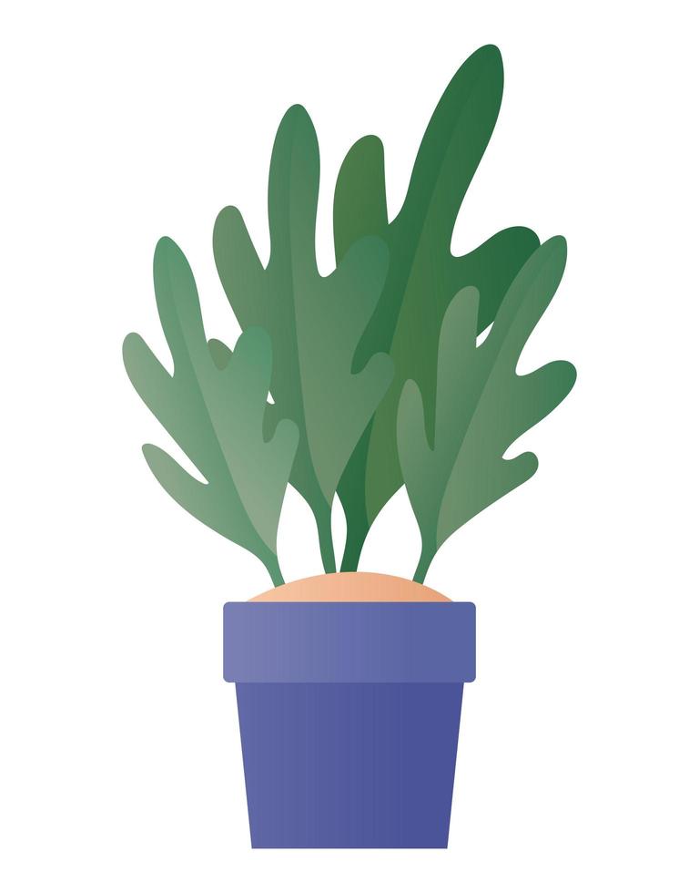 Planta aislada dentro de diseño vectorial de maceta vector