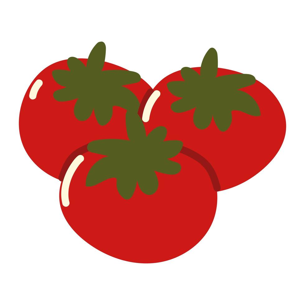 fresh tomatoes vegetables vector