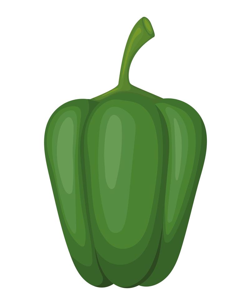 green healthy pepper vector
