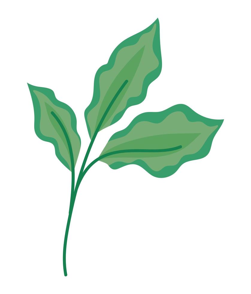 ilustración de tres hojas vector