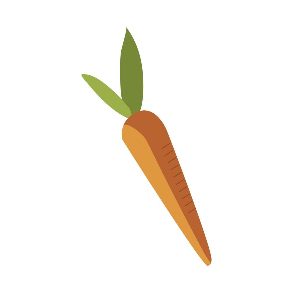 carrot vegetable fresh cartoon, icon isolated image vector