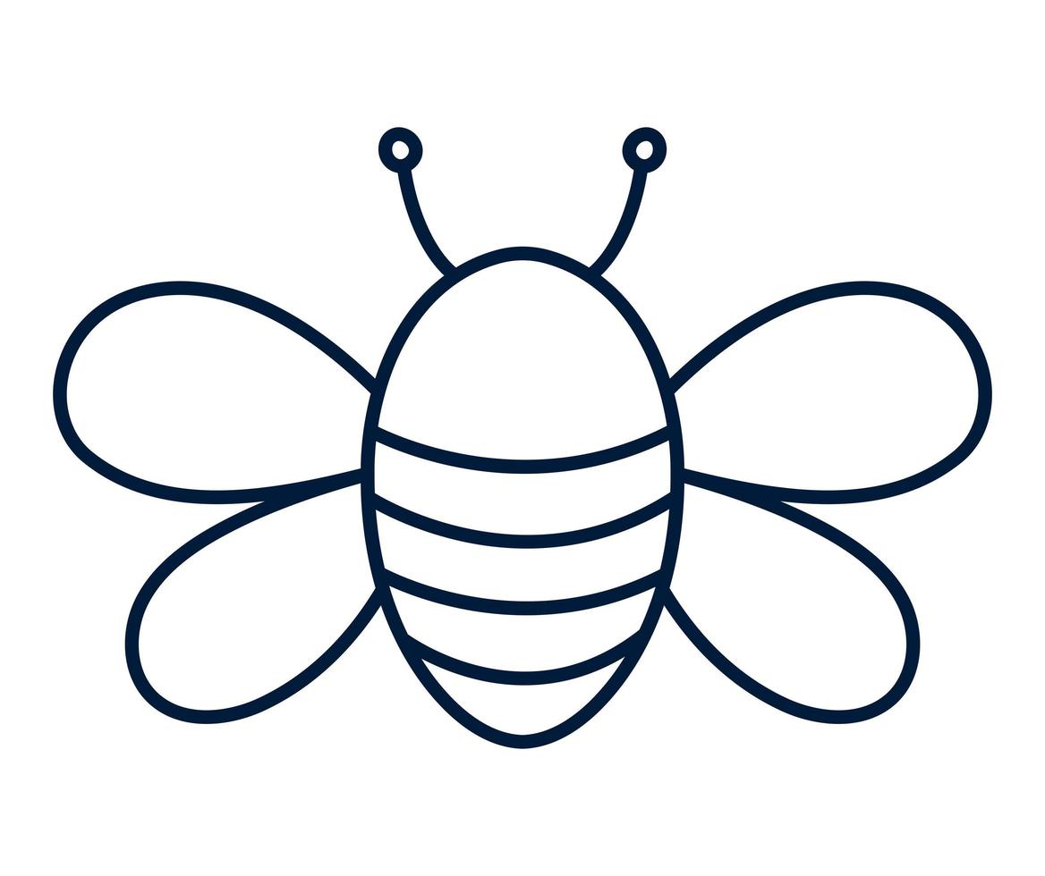 pretty bee design vector
