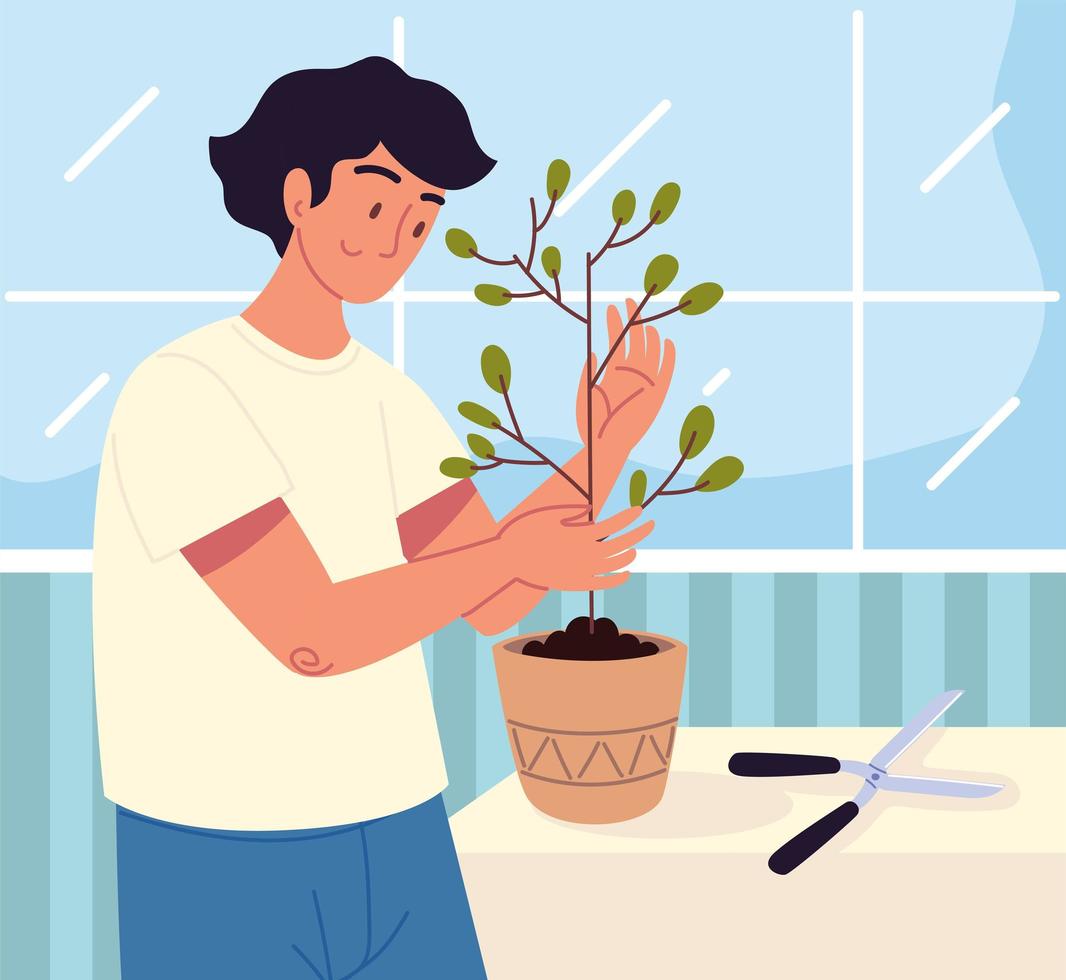 man caring a houseplant vector