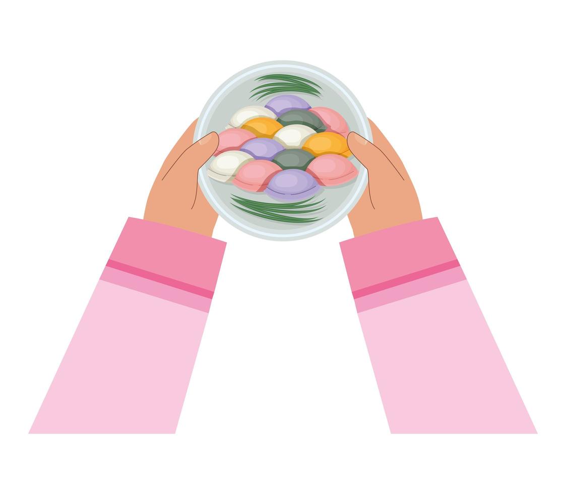 songpyon on a plate vector