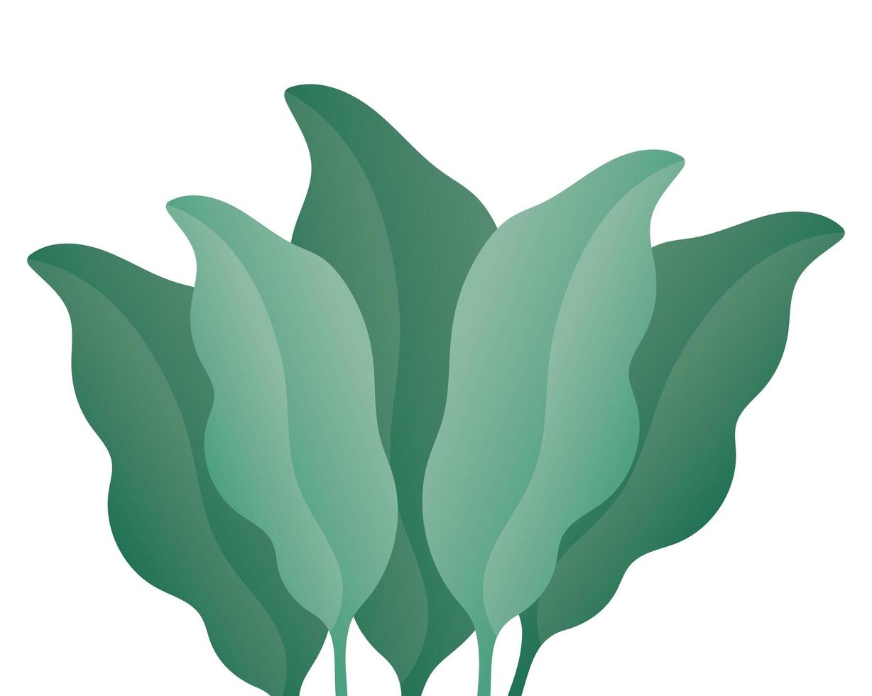 Isolated green leaves vector design