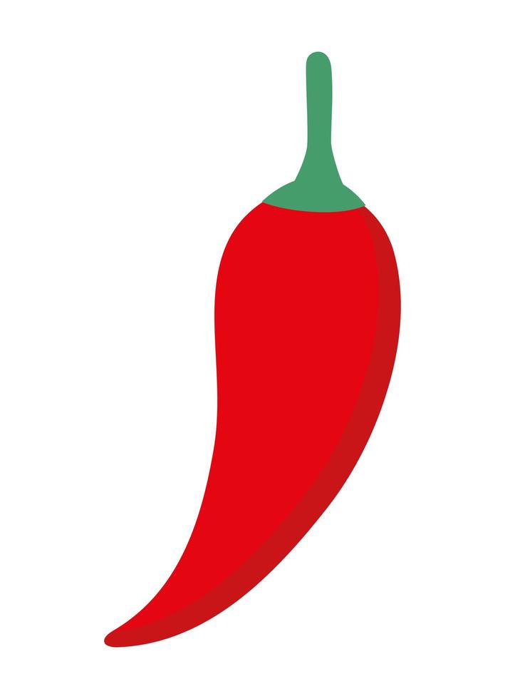 Isolated chilli vegetable vector design