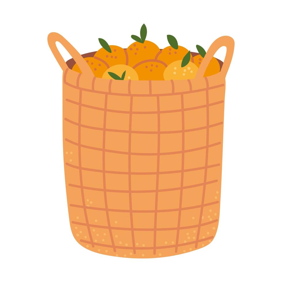 basket with harvest orange vector