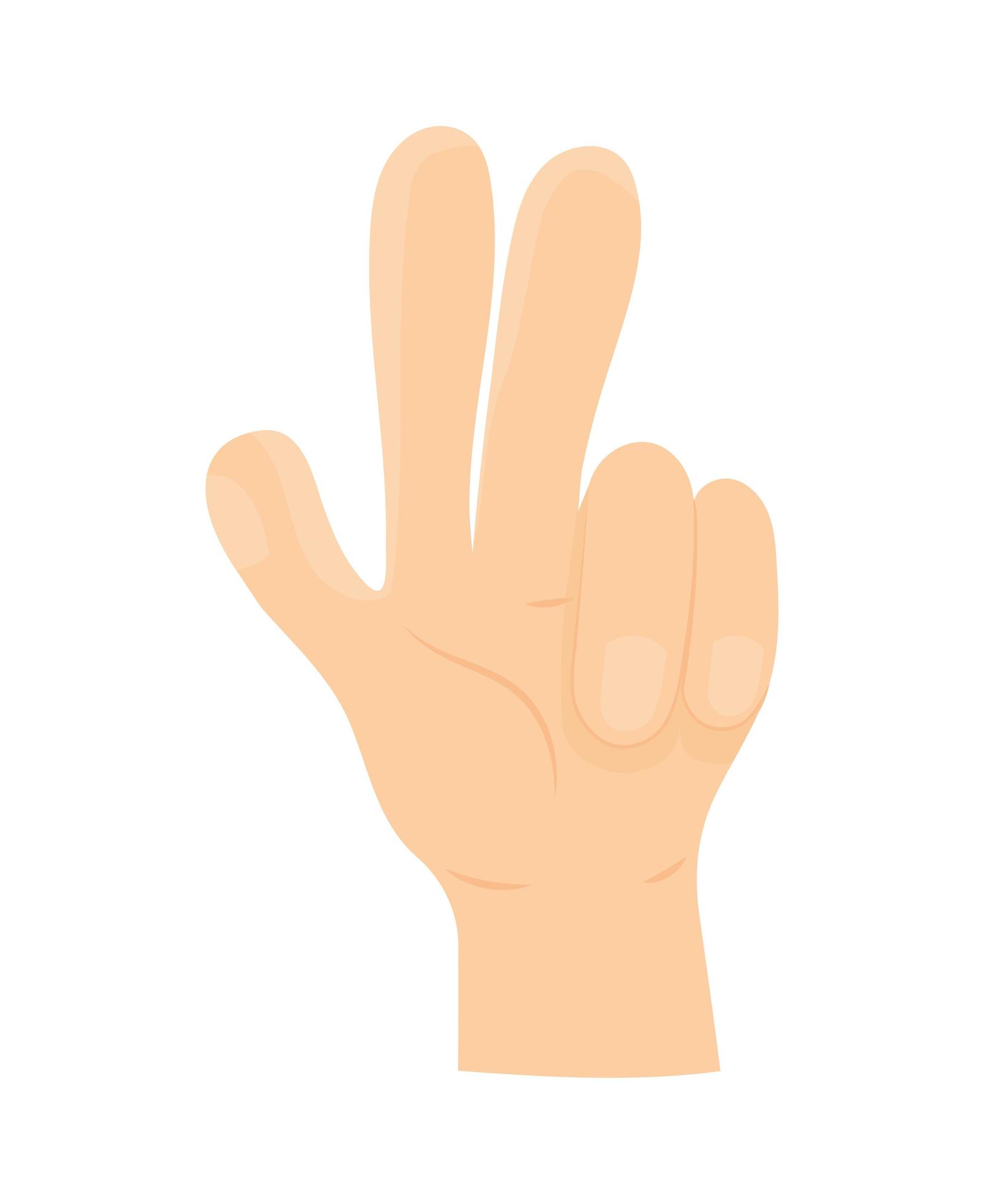 pretty left hand 4060251 Vector Art at Vecteezy