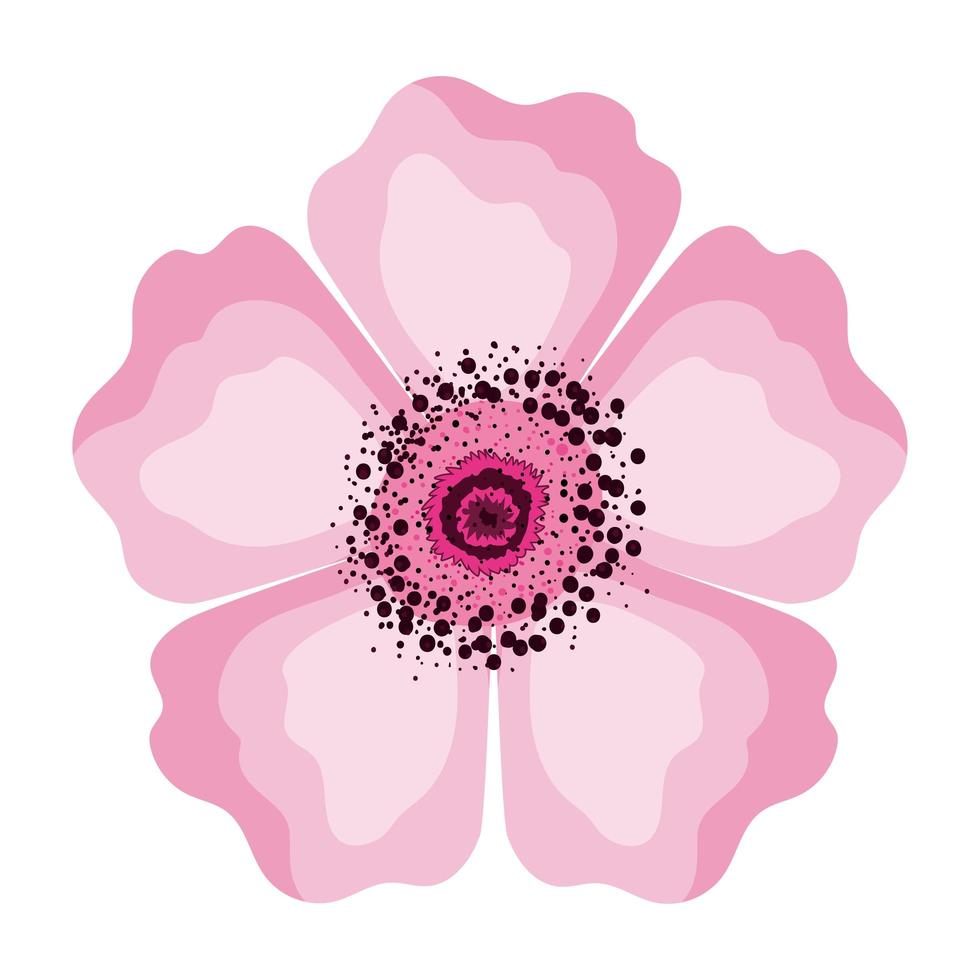 Isolated pink flower vector design
