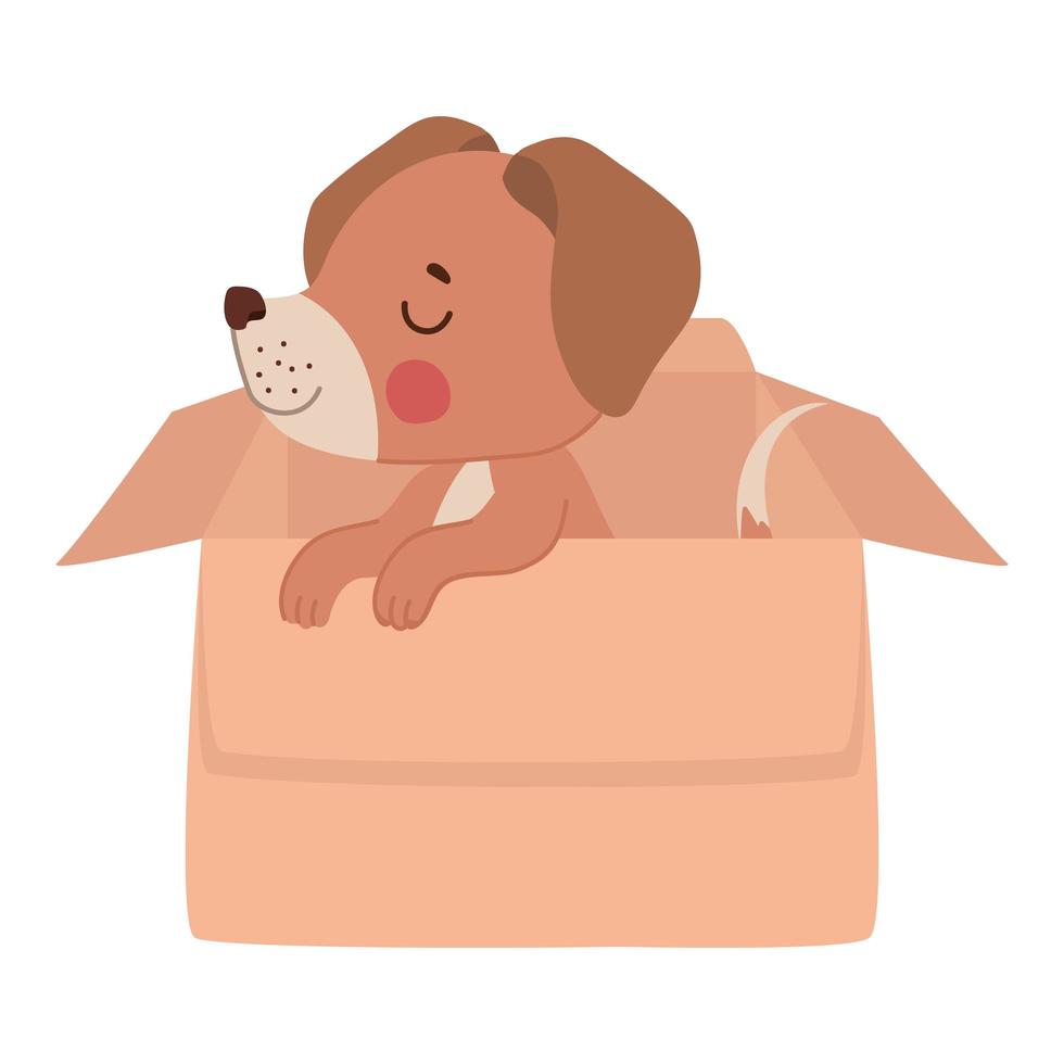 puppy in a box vector