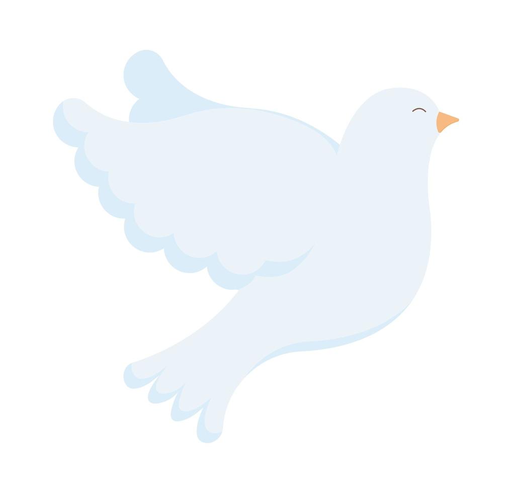 white dove design vector