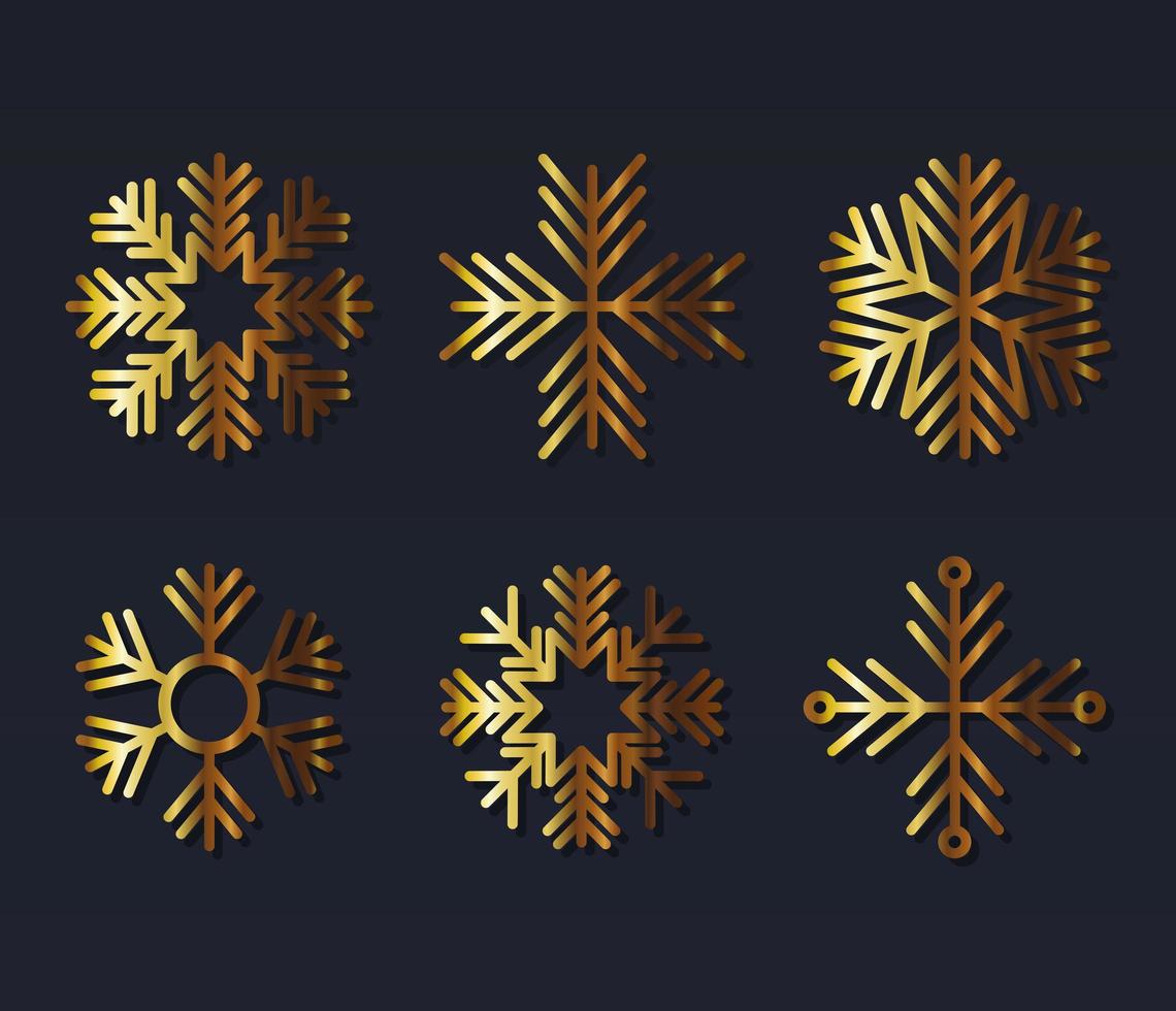 set of snowflakes of color light gold vector