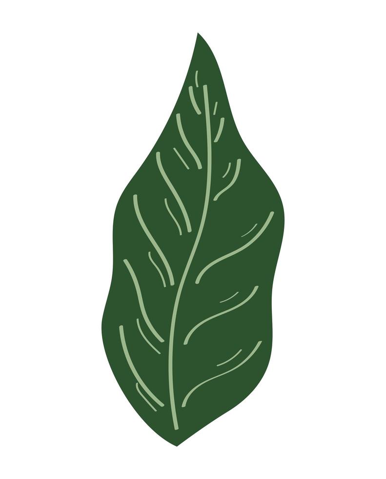 forest leaf illustration 4060976 Vector Art at Vecteezy