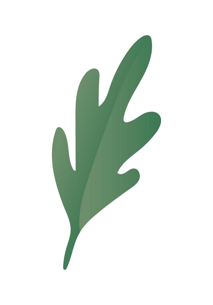 Isolated green leaf vector design