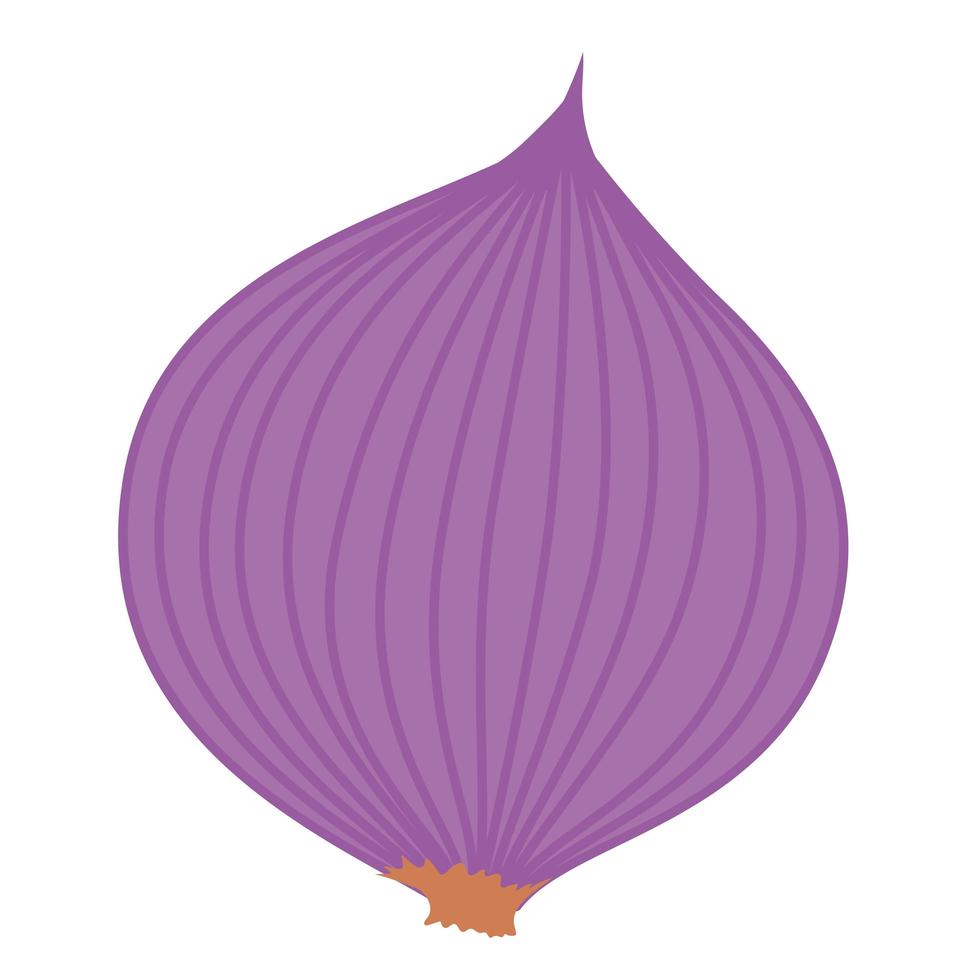 diseño de cebolla burdeos vector