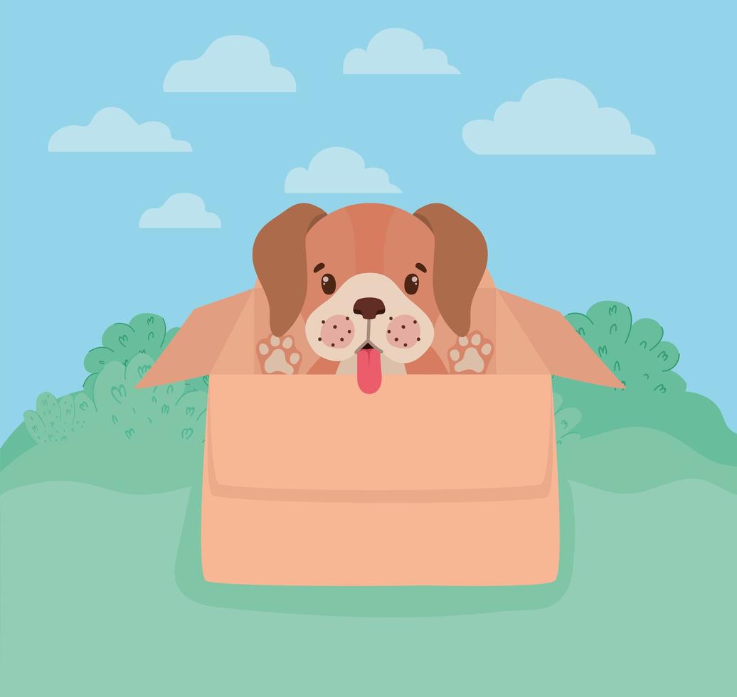 doggy with singboard vector