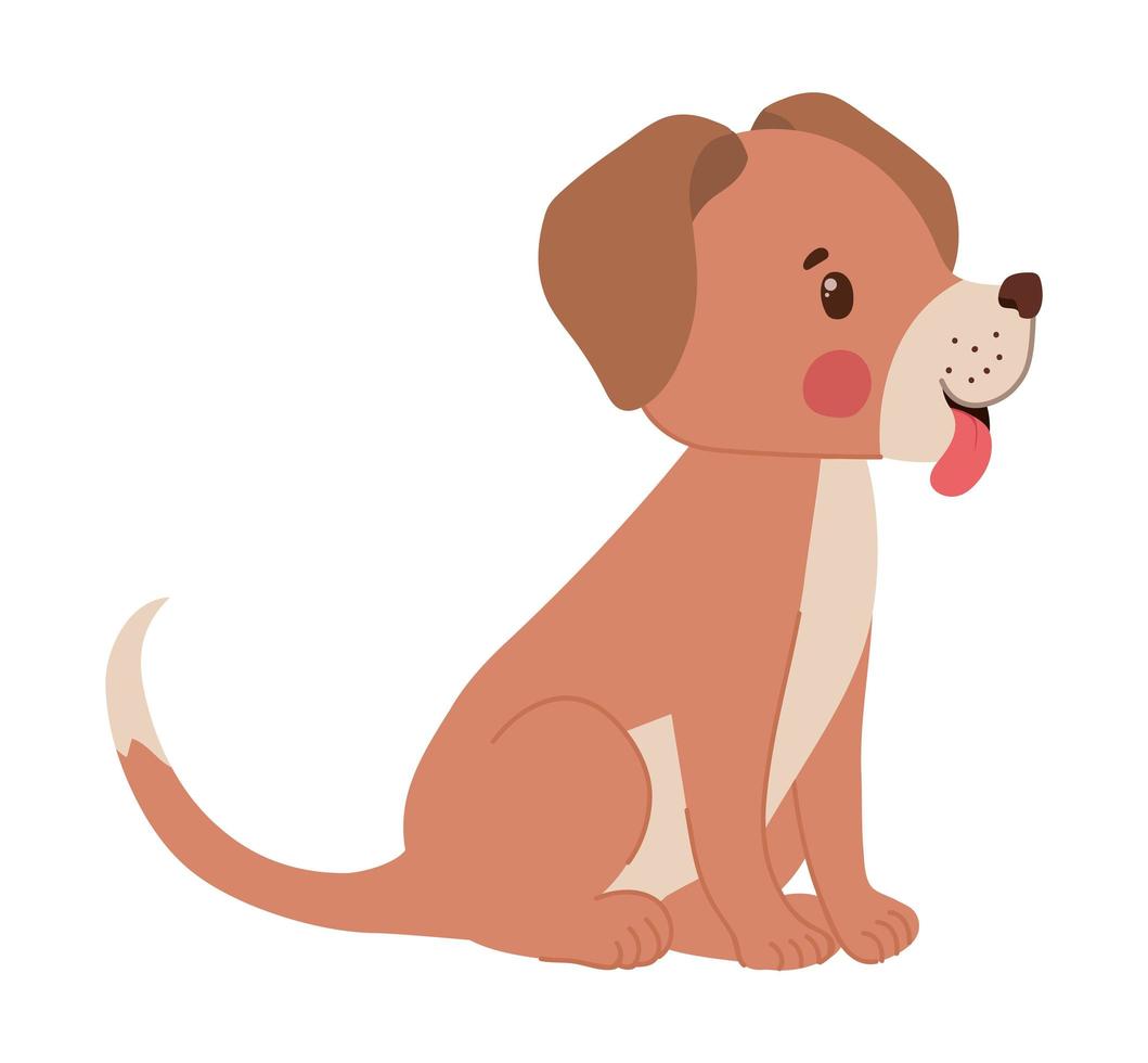 pretty dog illustration vector