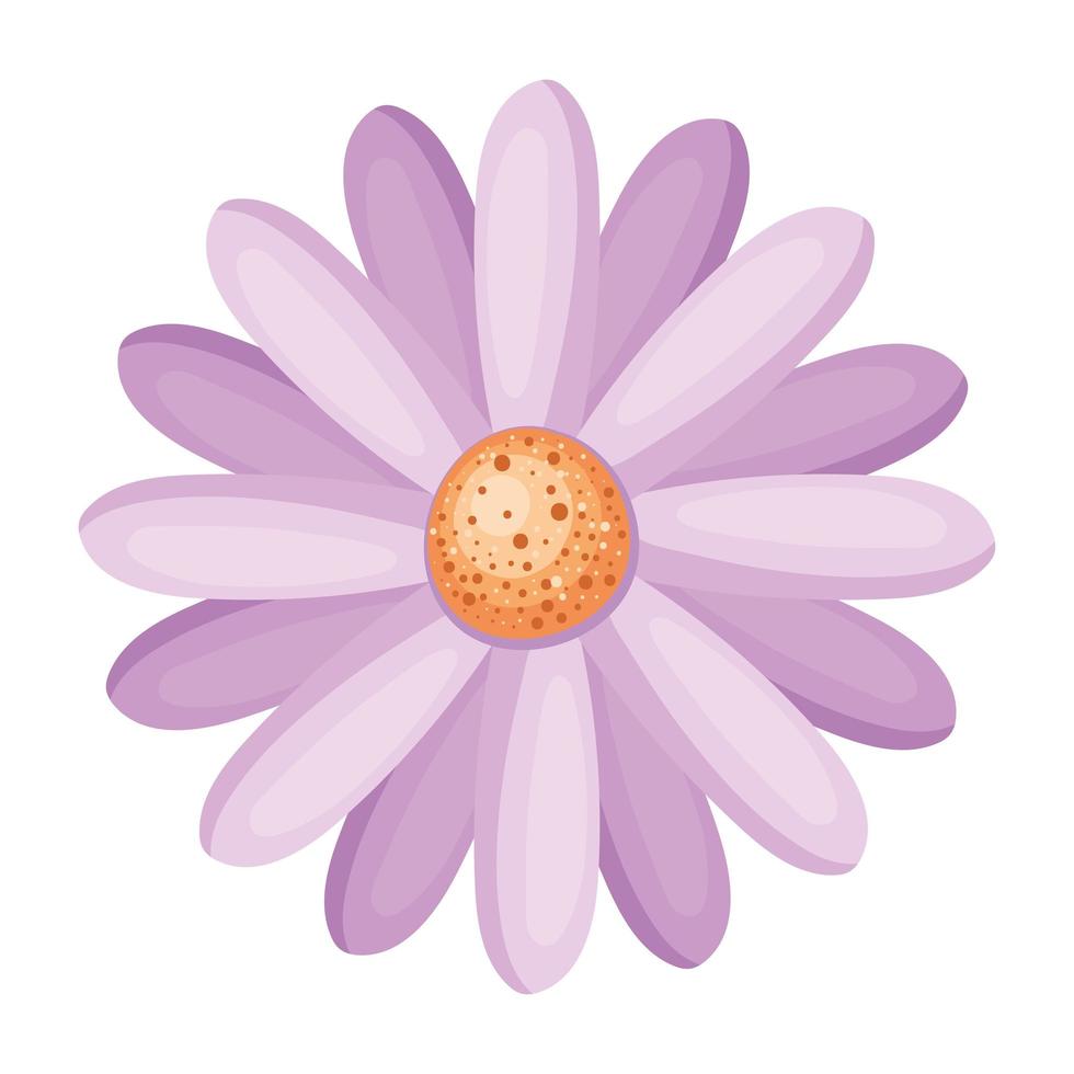 Isolated purple flower vector design