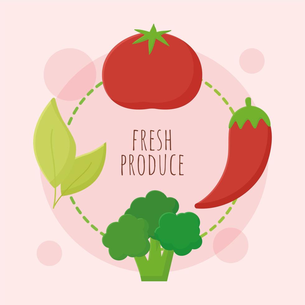 fresh produce card vector