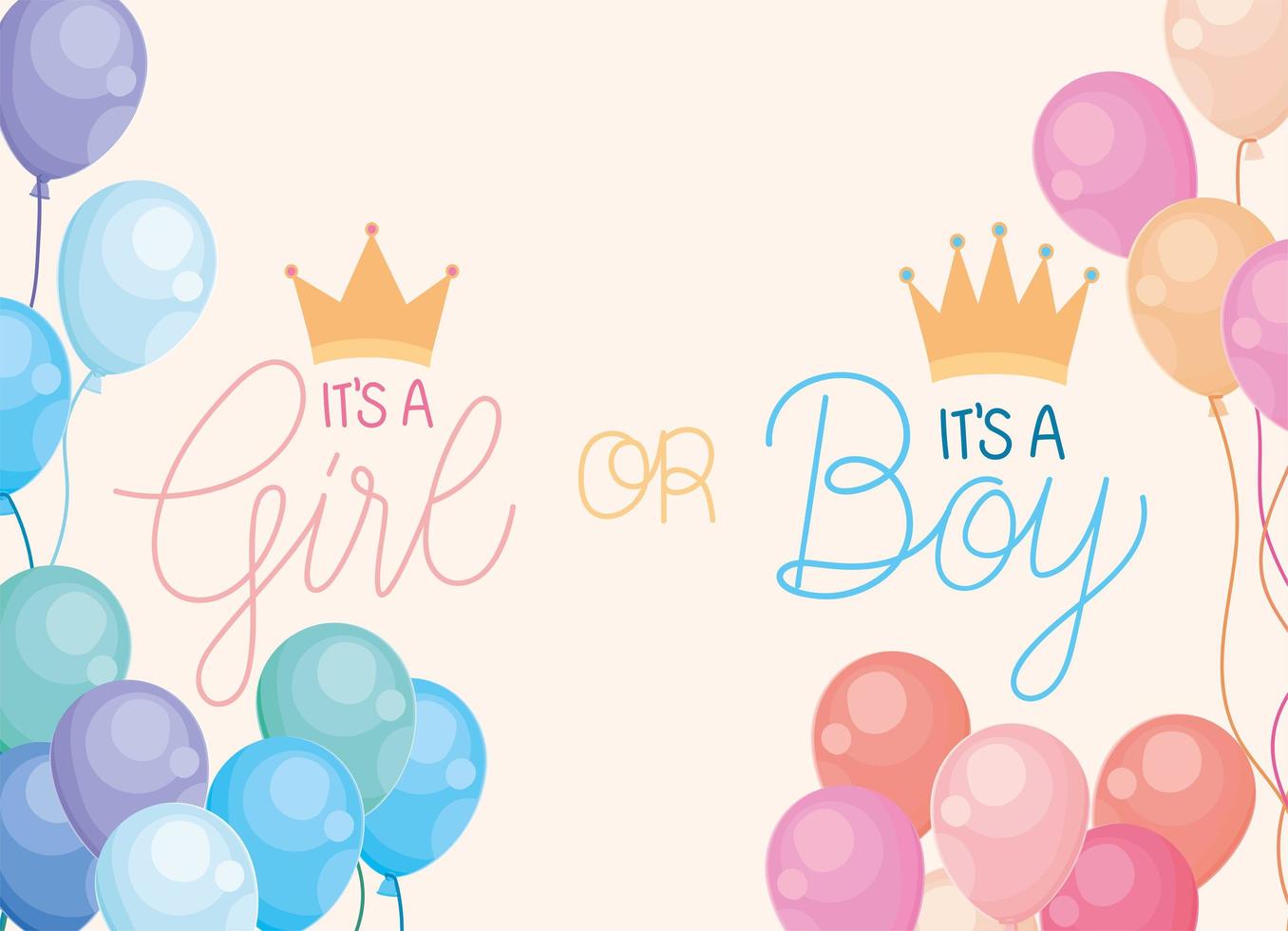 gender reveal design vector