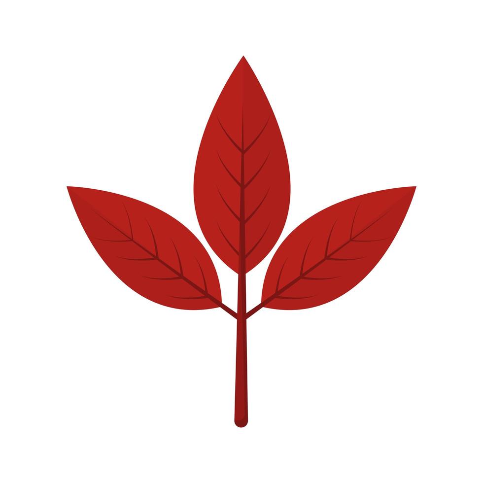 autumn leaf icon vector design