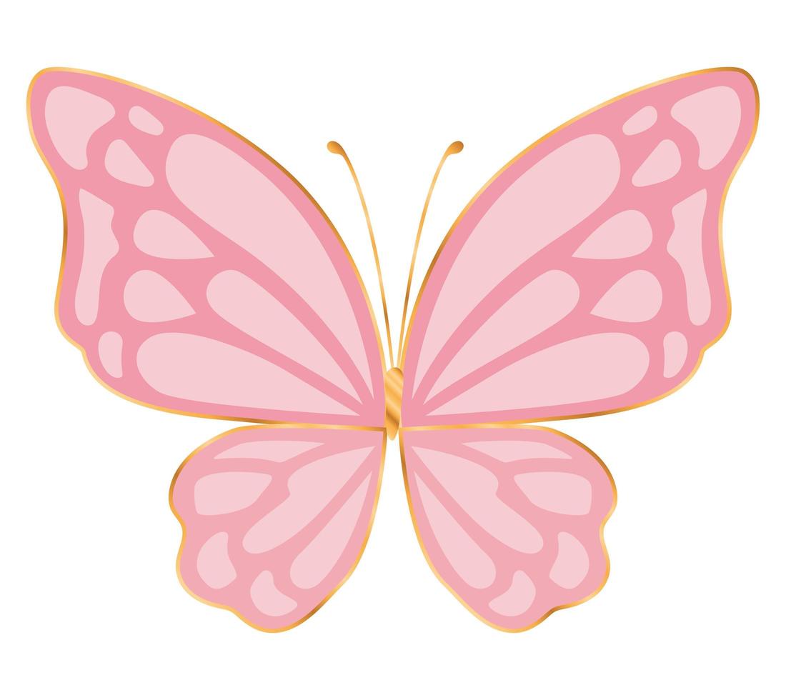 lindo diseño de vector de mariposa rosa