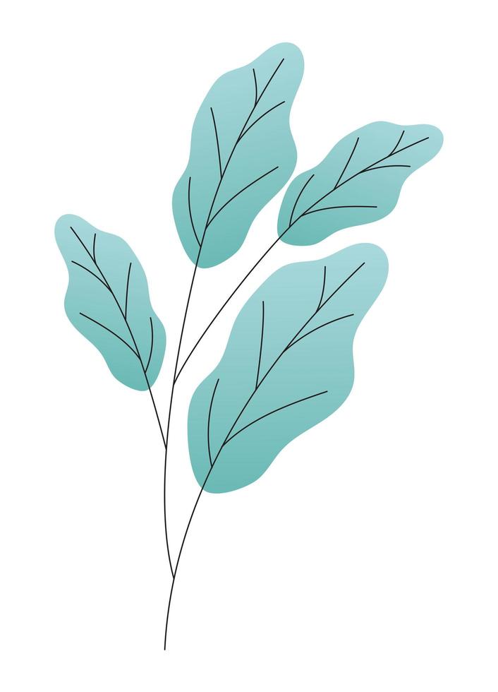 leaves of different type of green on white background vector