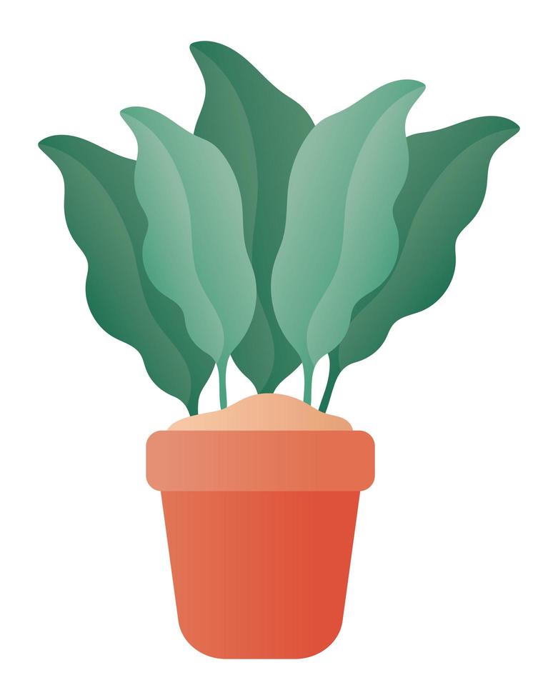 Isolated plant inside pot vector design