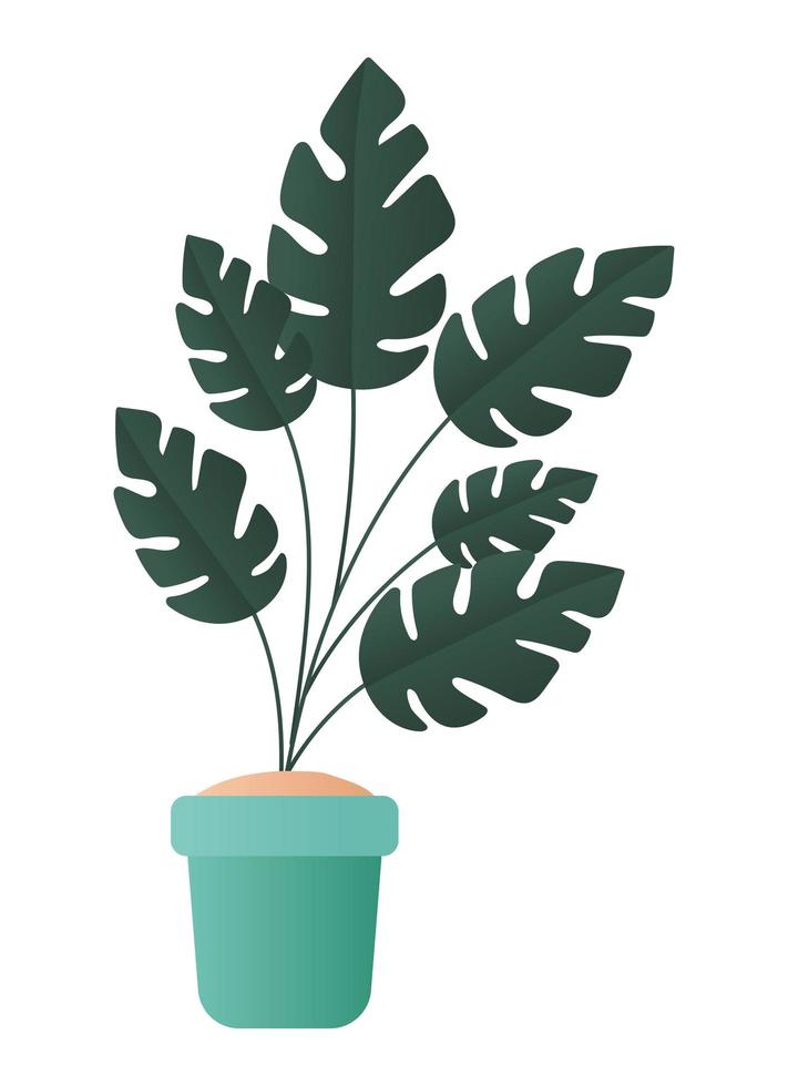 Isolated plant inside pot vector design