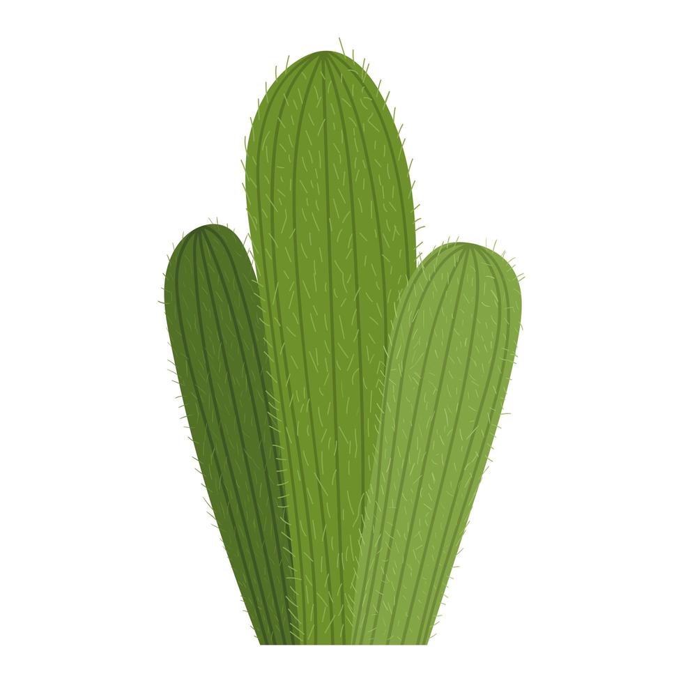 icono de cactus sobre fondo blanco vector